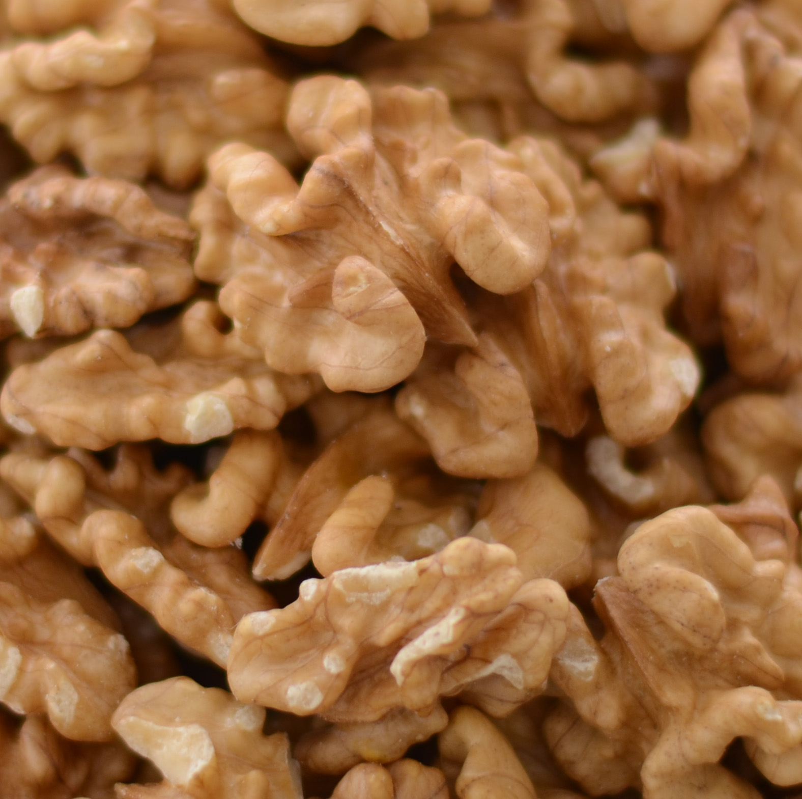 Nueces Fornes